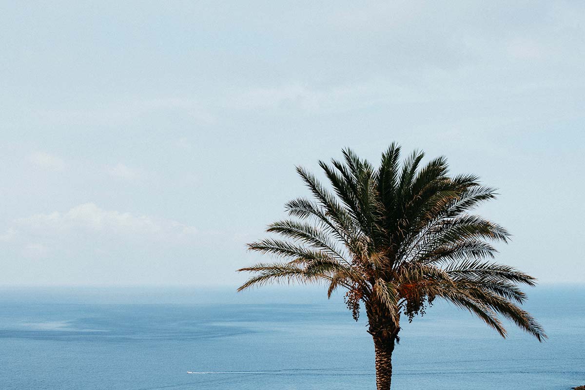 Pantelleria Eventi | the island | be inspired